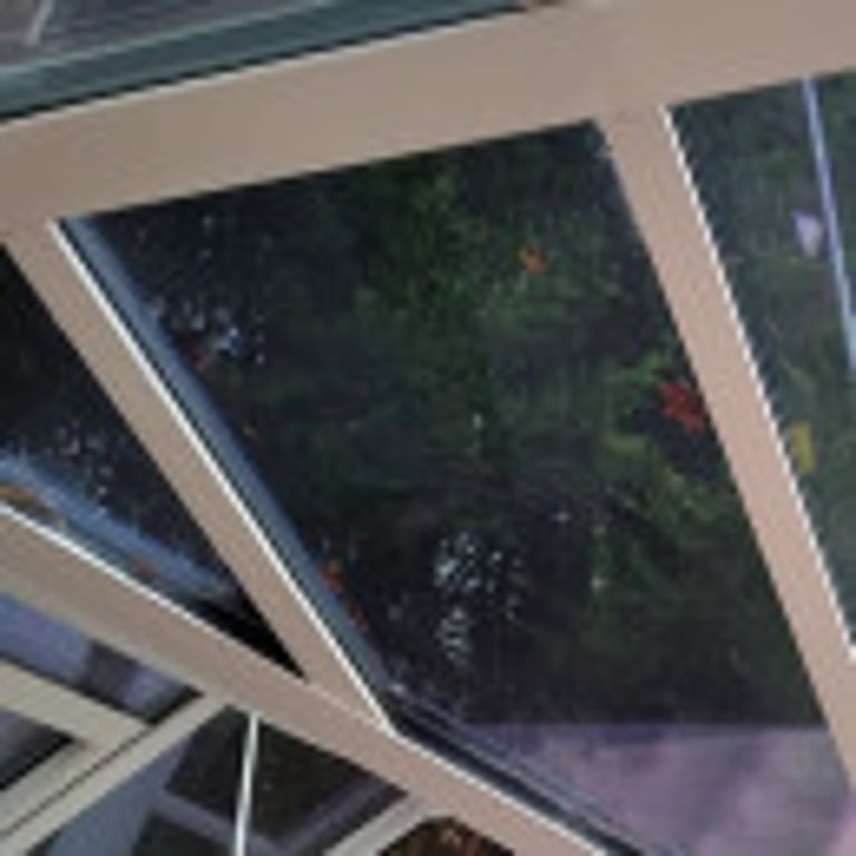 Deluxe Glass Roof roof option